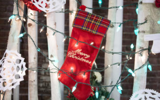 Holiday Party Volunteers